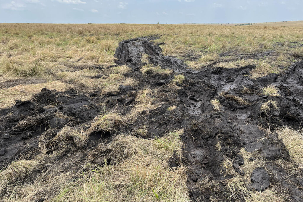 Spuren im Schlamm Masai Mara Kenia