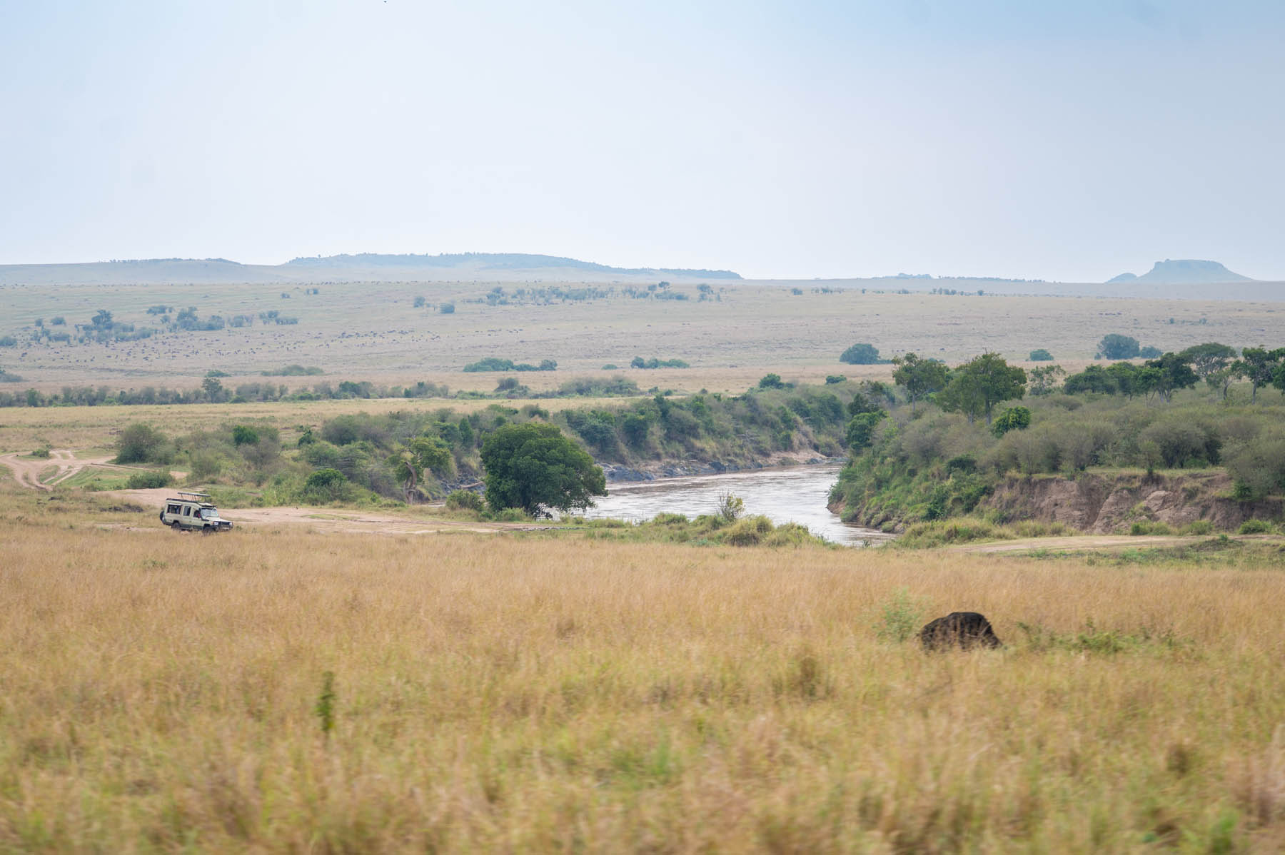 Masai Mara National Reserve