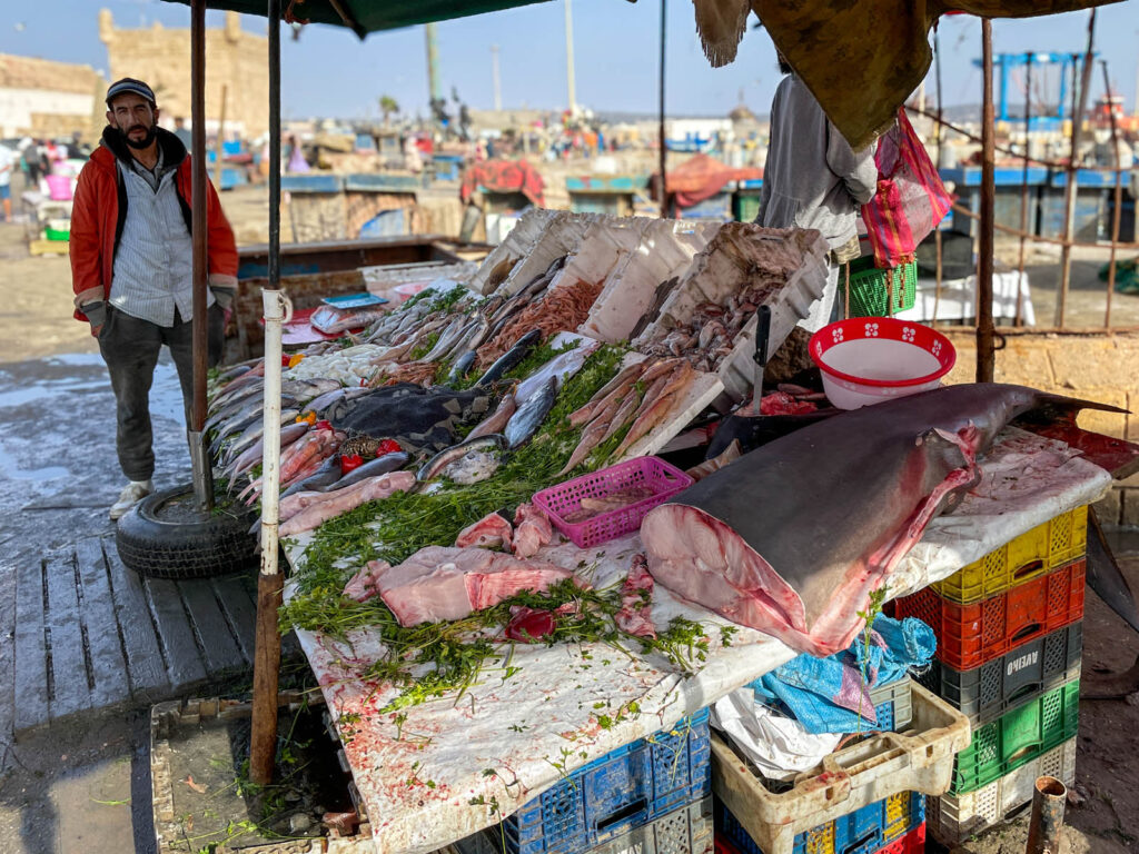 Fischmarkt Essaouria Marokko