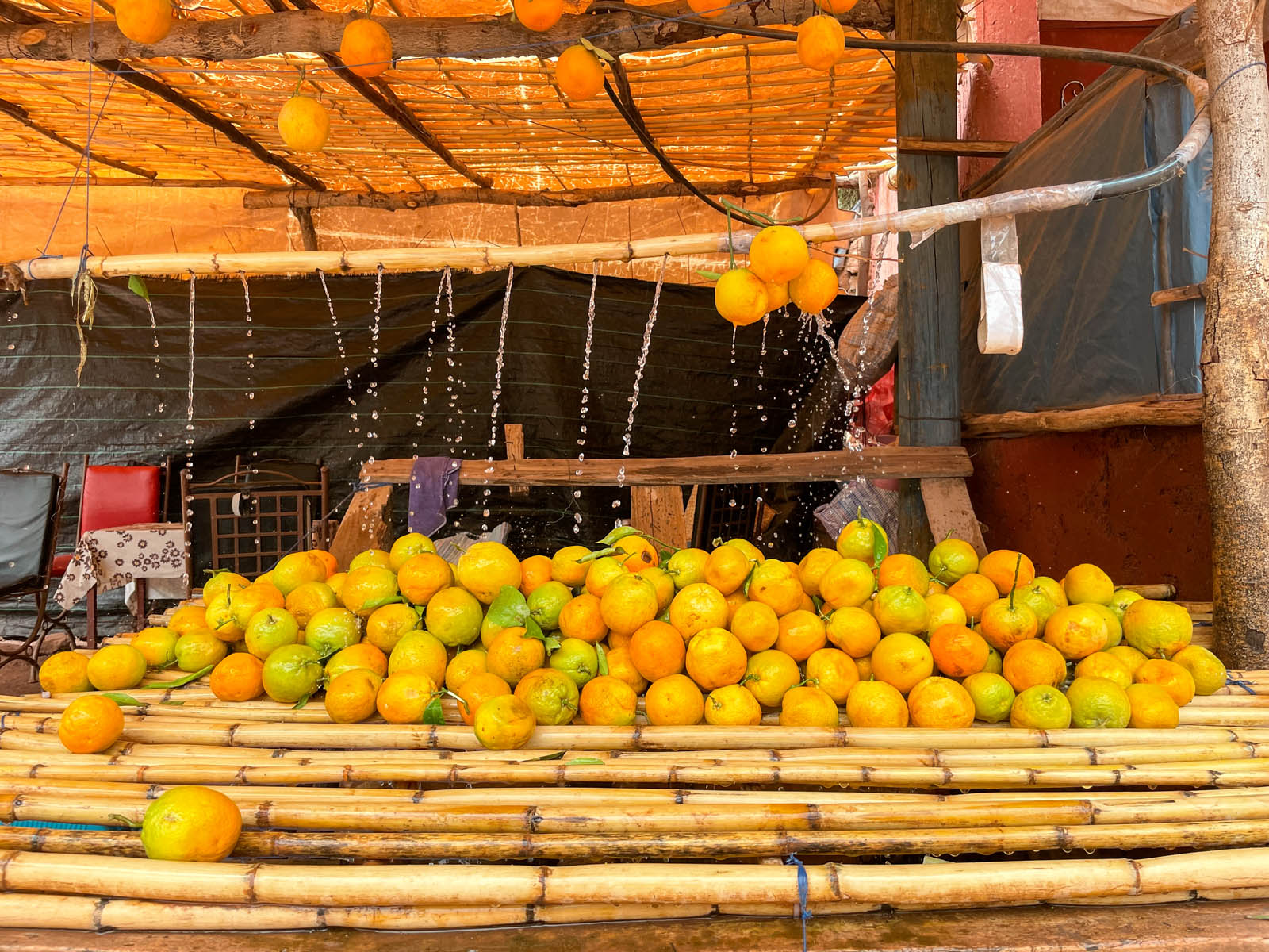 Orangenstand im Ourikatal Marokko