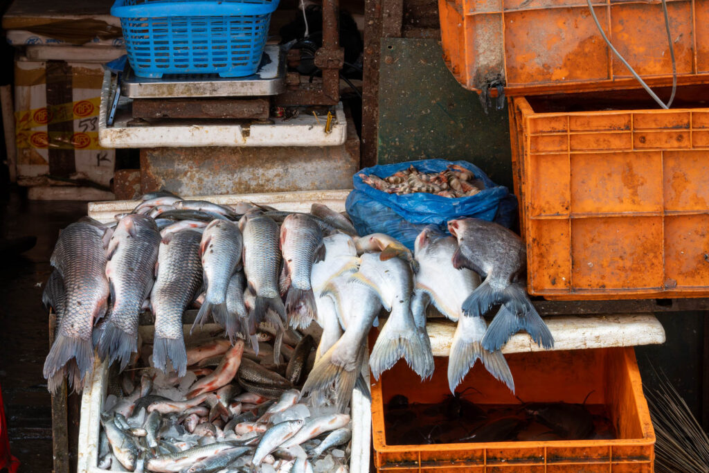 Fischverkauf in Patan Nepal