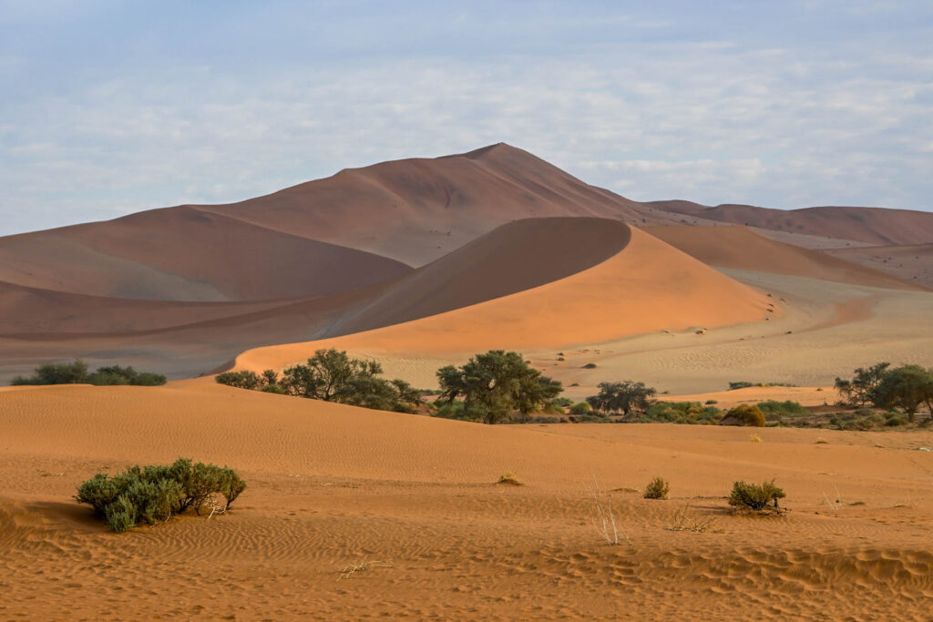 Sandduene in Sossousvlei Namibia