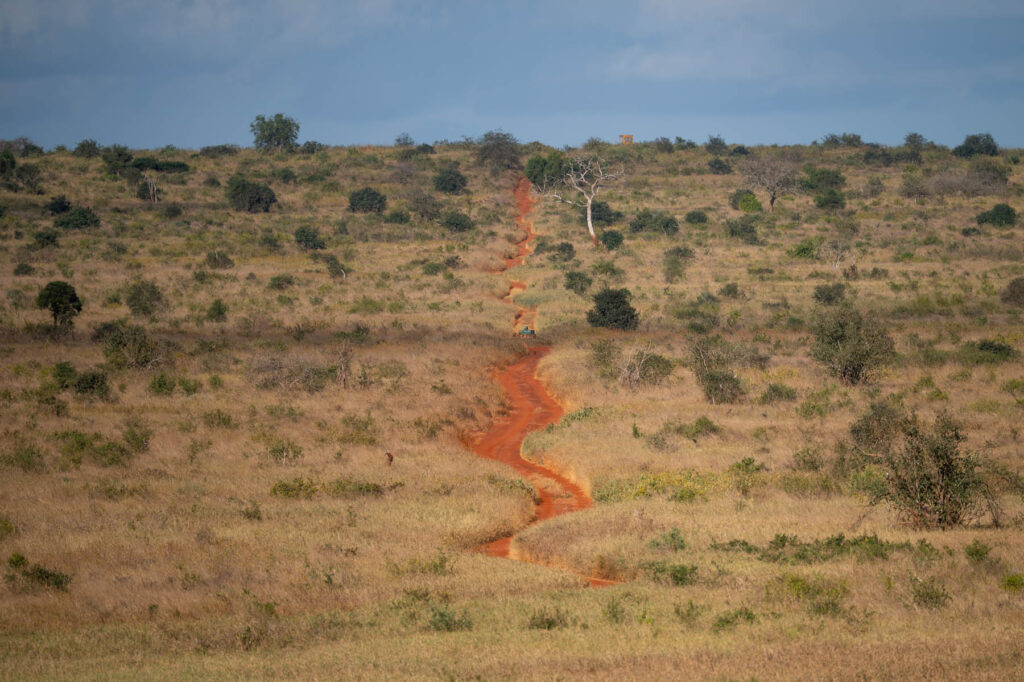 Weg mit rotem Savannensand schlängelt sich durch Taita Hills Kenia