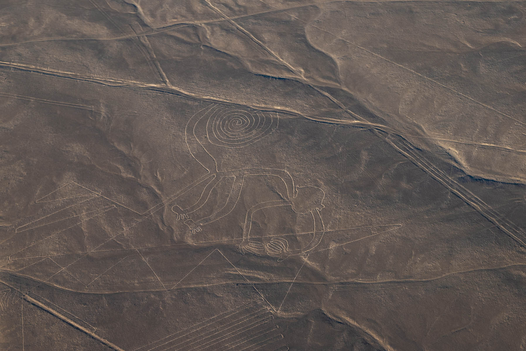 Nazca-Linien-Peru: So groß wie ein Fußballfeld: Figur "Affe" aus dem Flugzeug