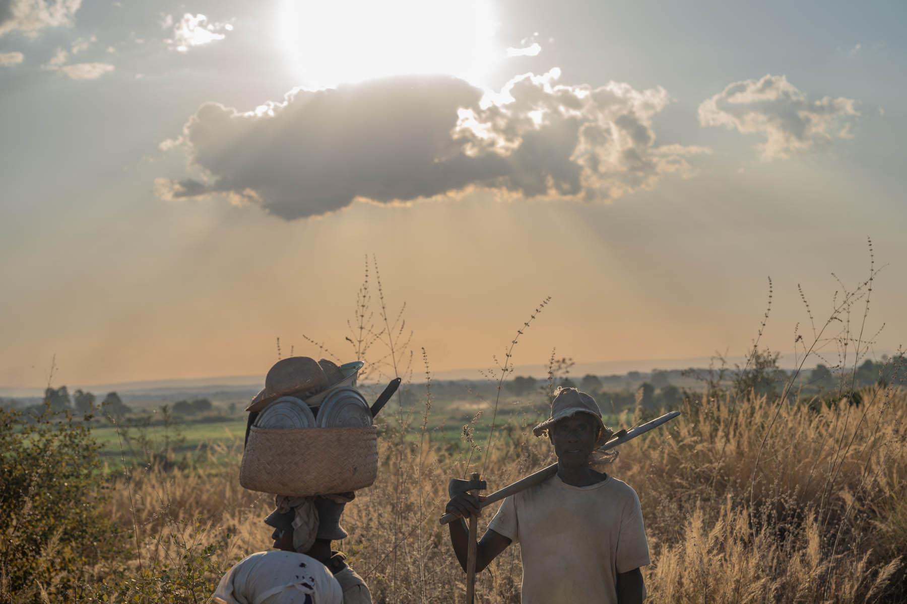 Madagaskar Portrait Mann vor Feld