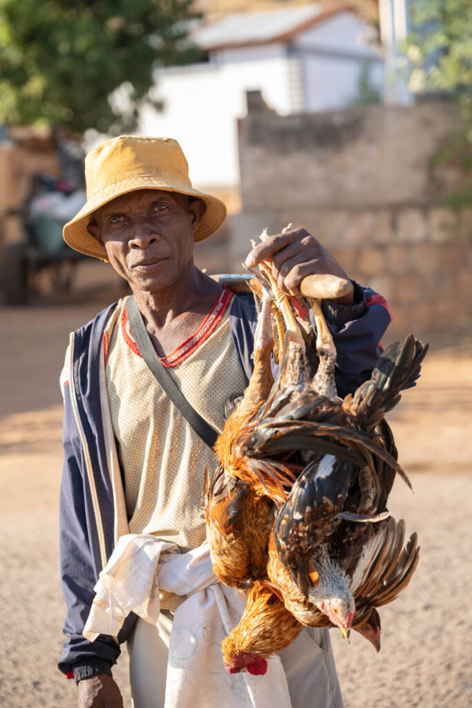 Madagaskar Portrait Mann mit Hühnern